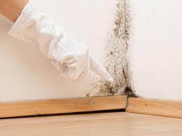 Best Mold Remediation for Healthcare Facilities in Carnation, WA